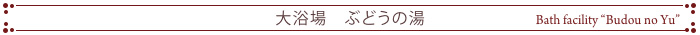 日帰り入浴　ぶどうの湯